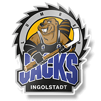 Skaterhockey bei der ERC Ingolstadt