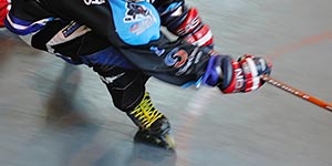 erc ingolstadt info skaterhockey